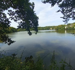Des rives du Ter à Keroman - Thierry - 3
