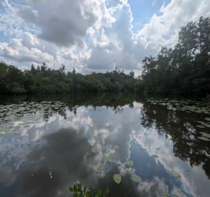 Tour des marais de Plouvain - pop62 - 3