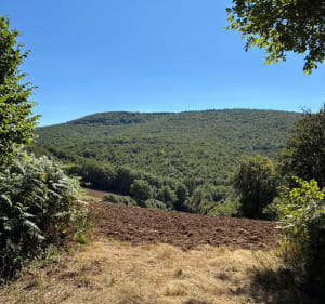 Le sentier de l’enfant sauvage - Corine  - 4