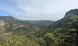 Le cirque de l'Infernet par la boucle des Fenestrettes - Saint-Guilhem-le-Désert - 15
