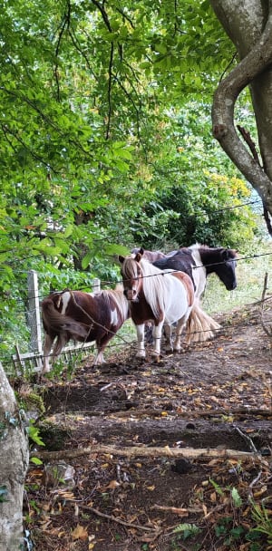 Broglie et escapade verte sur la vallée de la Charentonne - Christine - 3