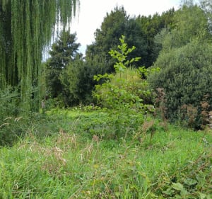 Balade dans le domaine de coolus - VERONIQUE - 5