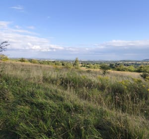 Góra Siewierska - Strzyżowice - 2