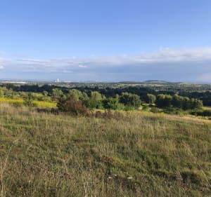 Góra Siewierska - Strzyżowice - 3