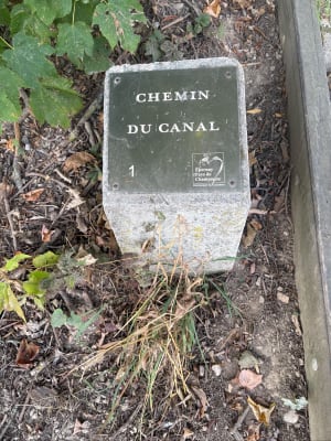 D'Epernay à Cumières au bord de l'eau - lydia - 8