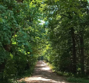 De Clamart vers le bois de Verrières via Meudon-la-Forêt - Christophe - 2