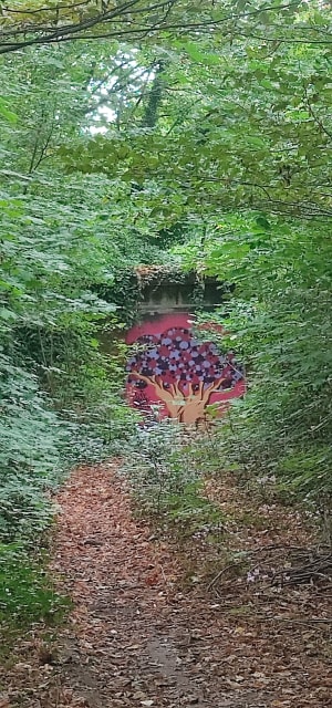 Flâner sur les bords de l'Erdre et trouver le calme à Nantes - Franck - 7
