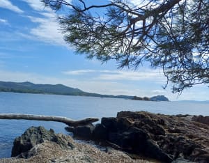 De la plage de Cabasson aux îlots de l'Estagnol - Bormes-les-Mimosas - 5