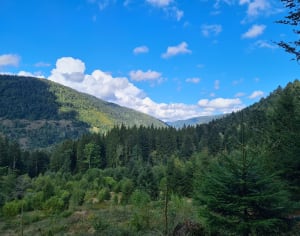 La Bresse et excursion envoûtante au lac des Corbeaux - YOANN - 6