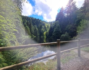 La Bresse et excursion envoûtante au lac des Corbeaux - YOANN - 5