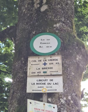 La Bresse et excursion envoûtante au lac des Corbeaux - YOANN - 7