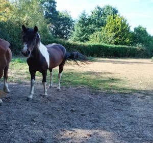 Marche au calme à Mélicourt - Jessica - 3