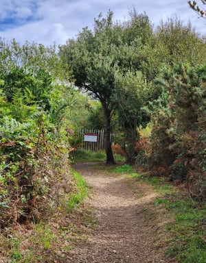 Chemin côtier au Nord de Saint-Jean-de-Luz - Valérie - 14