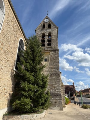 Direction La Seine par la forêt de Bréviande et le GR® 2 - Frédéric  - 3