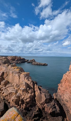 Bréhat, île aux fleurs et paradis micro-méridional - Florent - 7