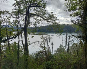Belle balade avec vue sur le lac de Vouglans - La Tour-du-Meix - 4