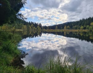 Balade tranquille au Lac de Luspach - YOANN - 13