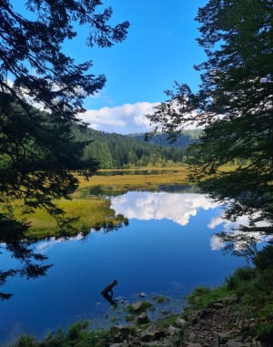 Balade tranquille au Lac de Luspach - YOANN - 11