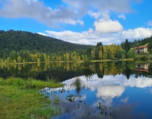 Balade tranquille au Lac de Luspach - YOANN - 12