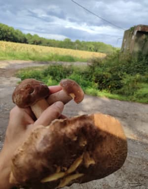Petite promenade autour de Saubrigues - Delphine - 4