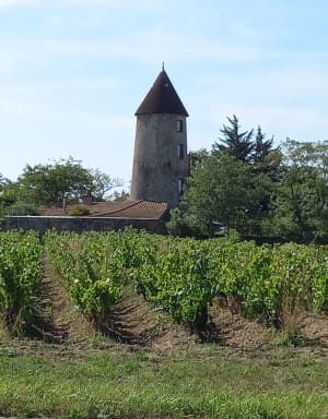 A travers 3 communes, de Saint-Lumine-de-Clisson - Patrick - 2