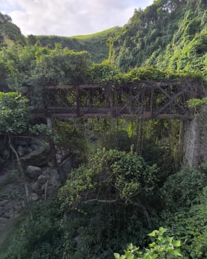 Gorges de la Loire, rive gauche depuis Caloire - SBALCHIERO - 17