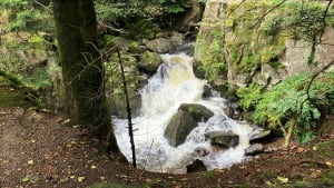 Balade le long de la Vologne et sa Cascade du Saut des Cuves - Jp - 5
