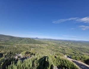 Puech des Mourgues et émerveillement sur les falaises - Saint-Bauzille-de-Montmel - 8