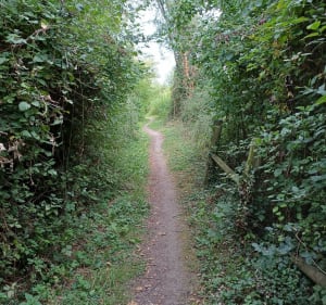 Balade en bord de Seine à Saint-Aubin-lès-Elbeuf - Gabriel - 3