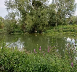 Balade en bord de Seine à Saint-Aubin-lès-Elbeuf - Gabriel - 4