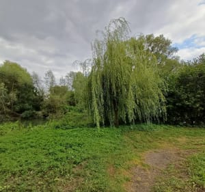 Balade en bord de Seine à Saint-Aubin-lès-Elbeuf - Gabriel - 2