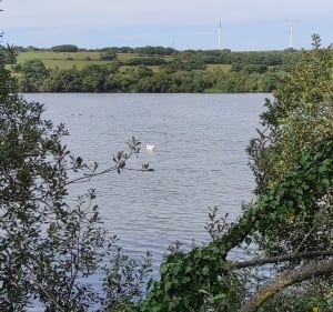 Tour du lac de Lannéon - Katelyne - 4