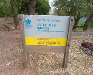 Les Issambres, Bois de la Gaillarde....parmi les mimosas - Erik - 8