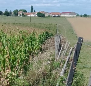 Arpenter les reliefs de Chamoust, Pisseloup et Sainte Aulde - Séb et Véro - 5