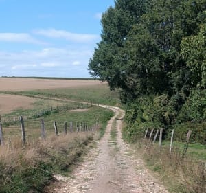 Arpenter les reliefs de Chamoust, Pisseloup et Sainte Aulde - Séb et Véro - 2