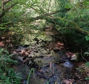 Arpenter les reliefs de Chamoust, Pisseloup et Sainte Aulde - Séb et Véro - 4
