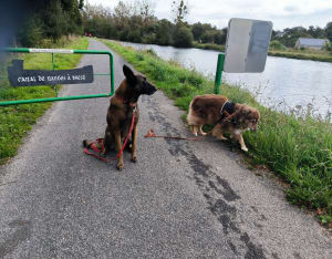 Tour du Run ar Puns - Chateaulin - 3