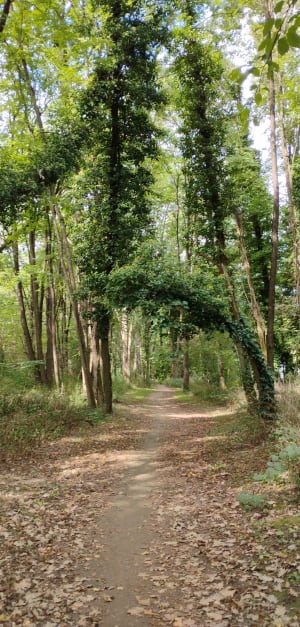 Marche nordique à l'Île Fribaud - Aymeric - 4