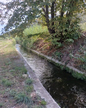 Le chemin de Saint-Martin - ANNIE - 4