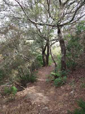 Le chemin de Saint-Martin - ANNIE - 2