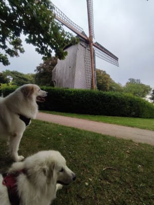 Casselberg voor een dag - Yann - 8