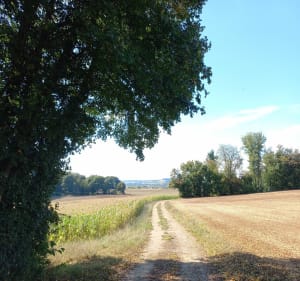Le Tour de Burgille - Cath - 5