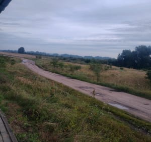 Pola pola tory - Różyny - 2