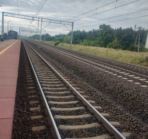 Pola pola tory - Różyny - 3