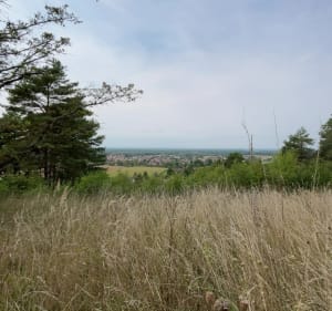 Rando au mont Joly et au mont Coq - Teddy - 3