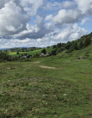 La Source de la Saine, Belvédère de la roche fendue - Ju - 6