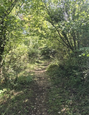 Chemin de la croix en boucle et sentier du Solitaire - Celine - 9