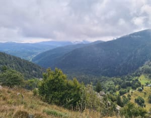 Col de la schlucht vers le honeck. - YOANN - 13