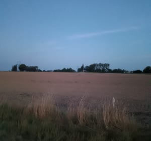 Dans les champs autour du gros theil - DAVID - 4
