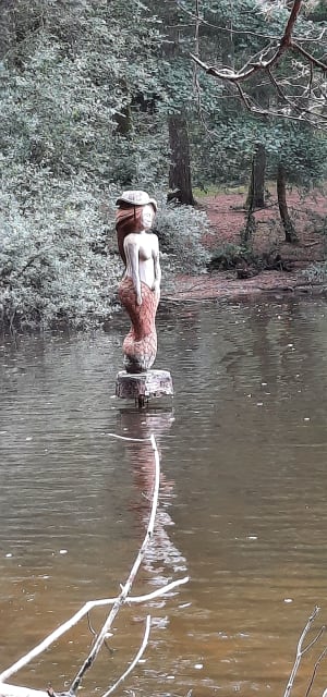 Belle balade au bord du Lac de Sèchemailles - CHRISTIAN - 7